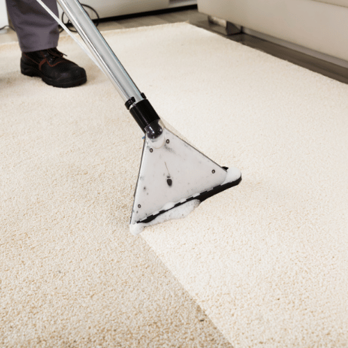 Carpet Cleaning in The Villages Fl